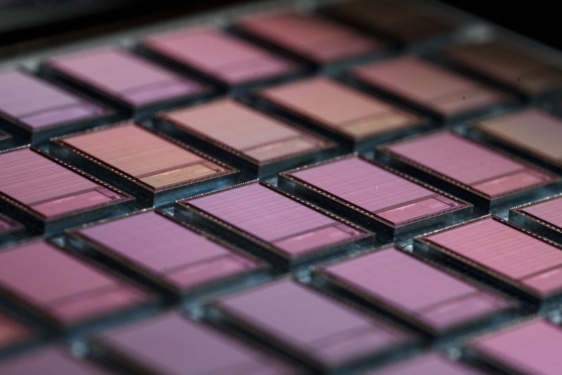 Chip dies on a wafer